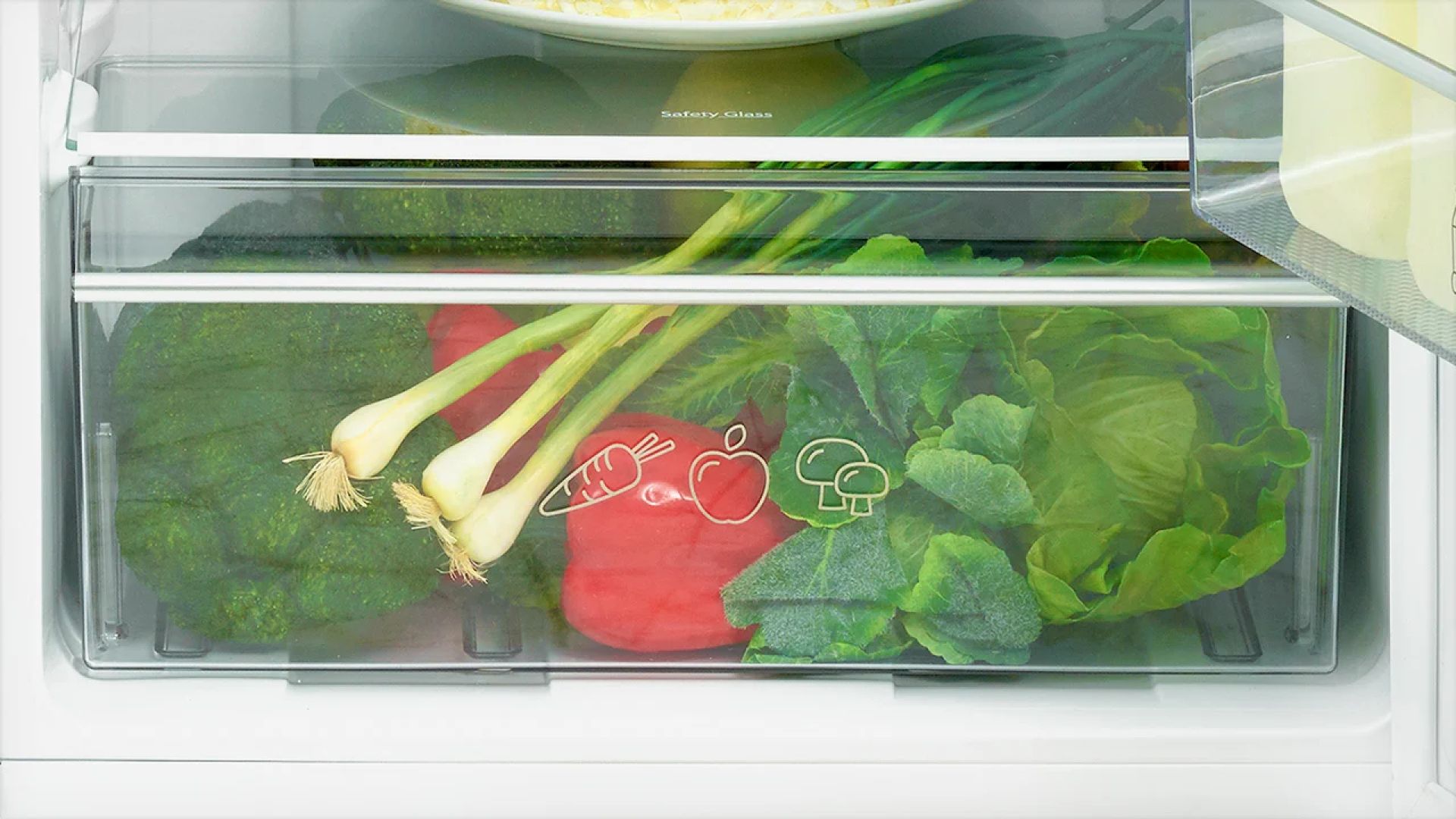 Large Salad Crisper